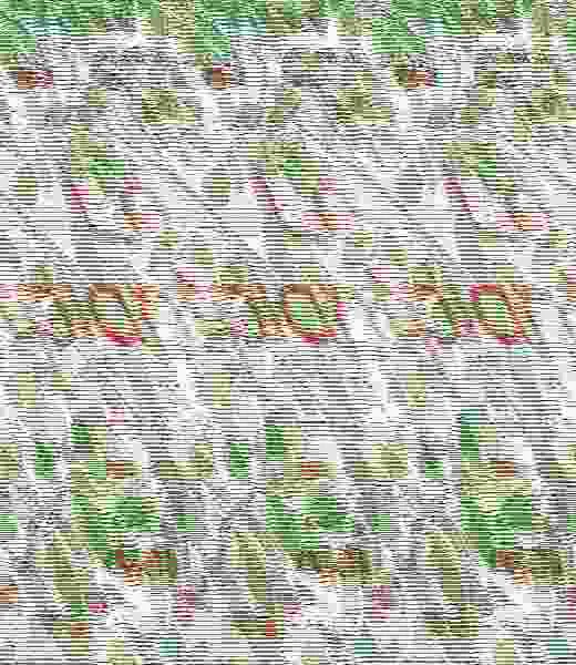 Plantita, la