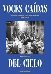 Voces Caidas del Cielo