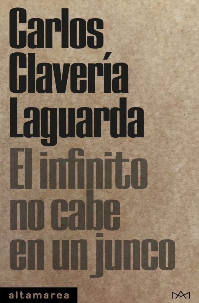 El Infinito no Cabe en un Junco