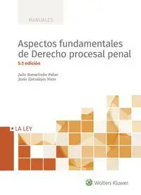Aspectos Fundamentales de Derecho Procesal Penal (5. ª Edición)