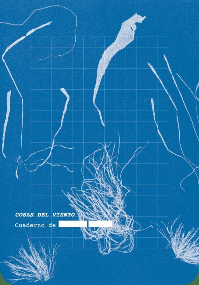 Cosas del Viento