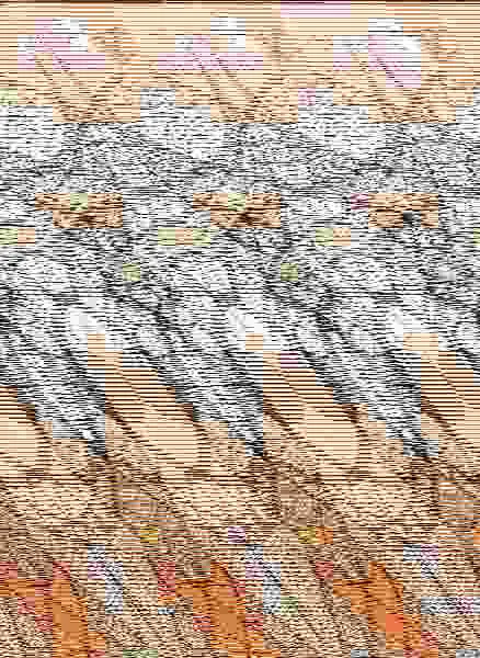 Búhos (Flow Colouring)