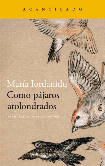 Como Pájaros Atolondrados