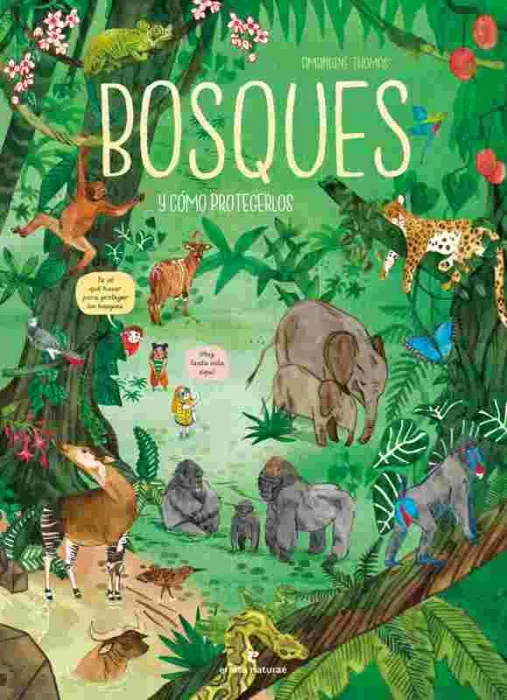 Bosques... Y Cómo Protegerlos