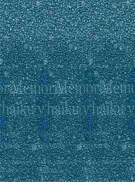 Memoria y Haiku