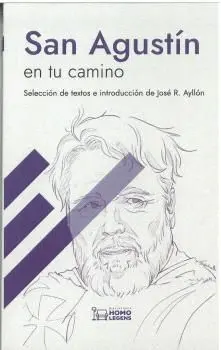 San Agustín en tu Camino