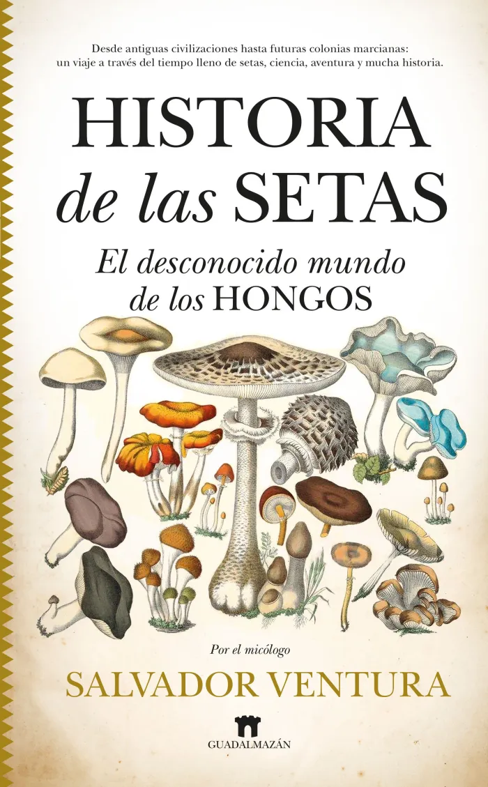 Historia de las Setas