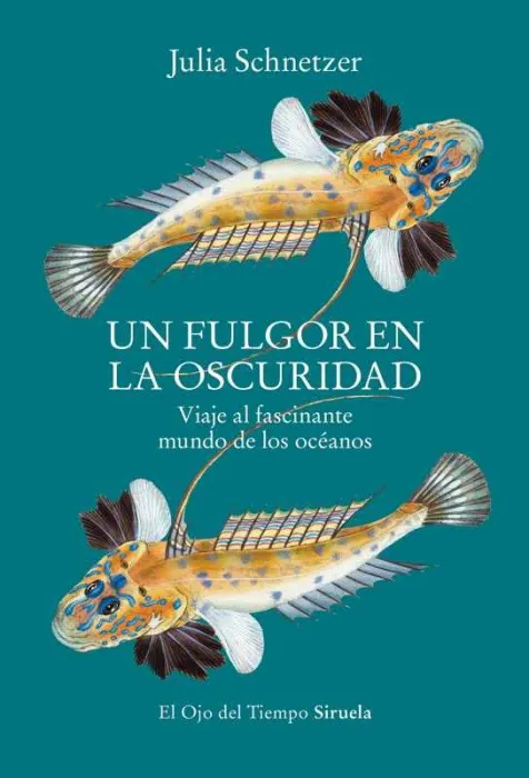 Un Fulgor en la Oscuridad