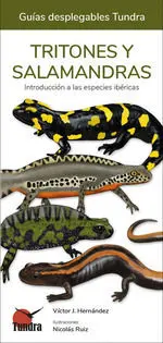 Tritones y Salamandras