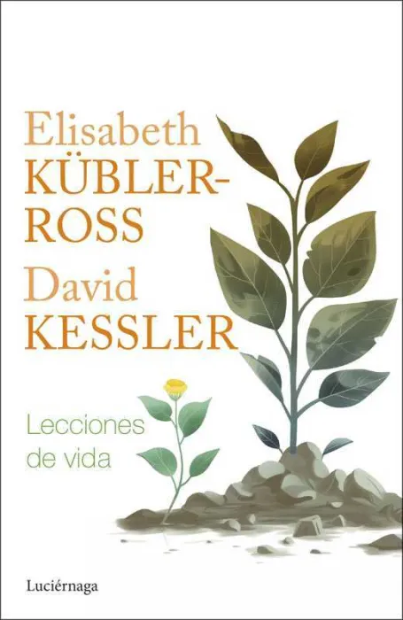 Lecciones de Vida