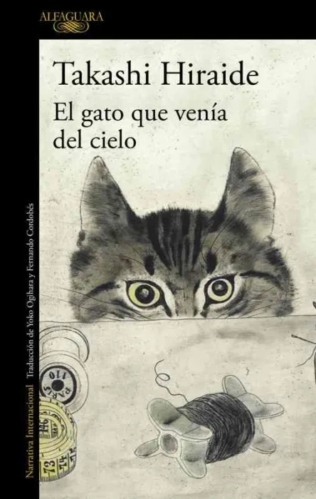 El Gato que Venia del Cielo