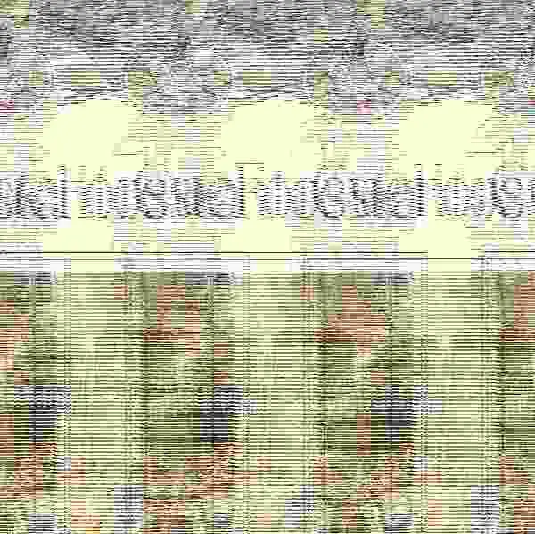 Cuentos de Foresta