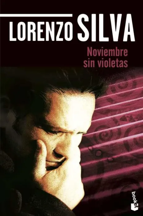 Noviembre sin Violetas