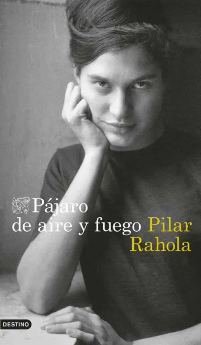 Pajaro de Aire y Fuego