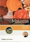 Moluscos