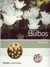 Bulbos