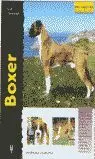 Boxer