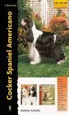 Cocker Spaniel Americano (Excellence)
