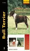 Bull Terrier