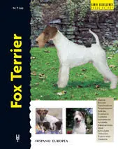 Fox Terrier