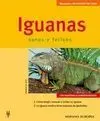 Iguanas (Mascotas en Casa)