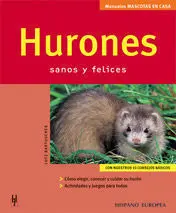Hurones (Mascotas en Casa)