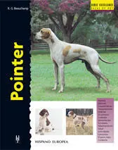 Pointer (Excellence)
