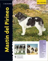 Mastín del Pirineo