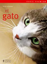 El Gato (Premium)