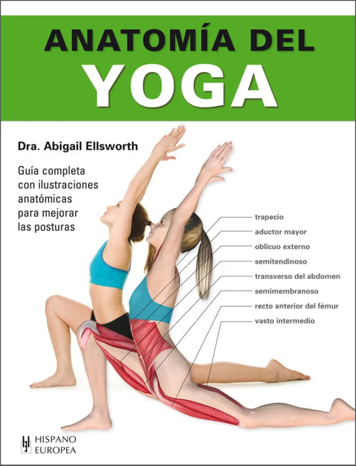 Anatomía del Yoga