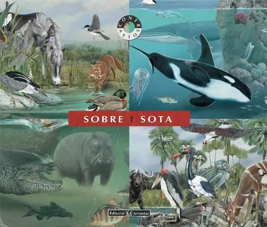 Sobre I Sota