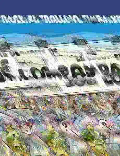 El Escondite de los Compas