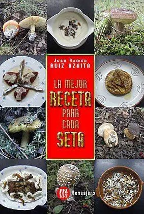 Mejor Receta para Cada Seta, la