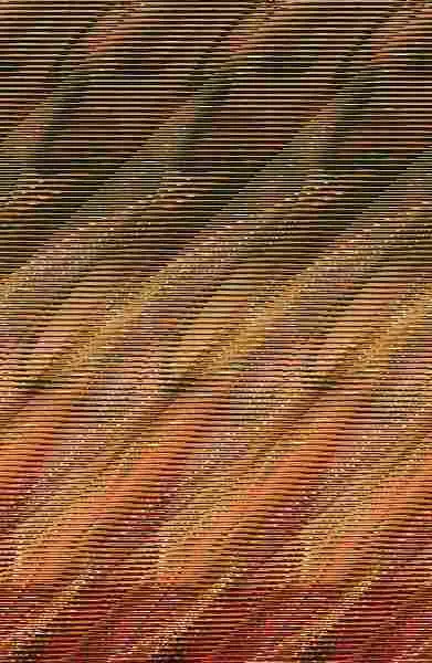 Firebird (El Fuego que nos Une 1)