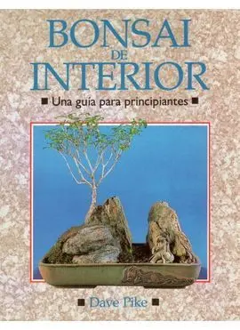 Bonsai de Interior
