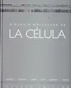 Biología Molecular de la Célula
