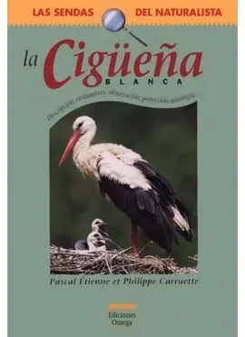 Cigüeña Blanca, la