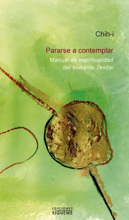 Pararse a Contemplar