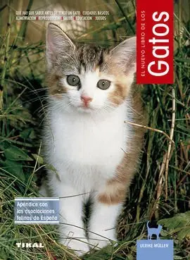 Gatos.