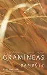 Gramíneas. Bambúes