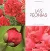 Las Peonías