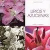 Lirios y Azucenas