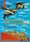 Las Aventuras del Barón de Munchausen,