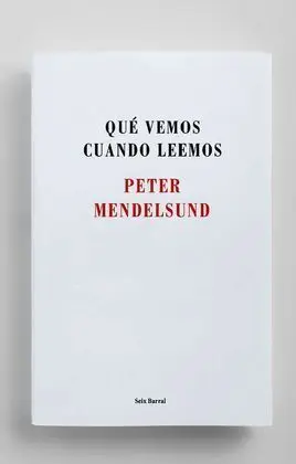 Que Vemos Cuando Leemos