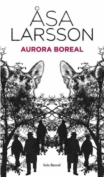 Aurora Boreal