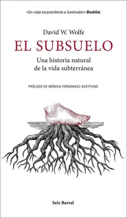 El Subsuelo
