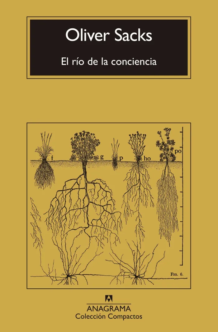 El Río de la Conciencia