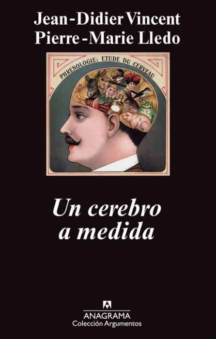 Un Cerebro a Medida