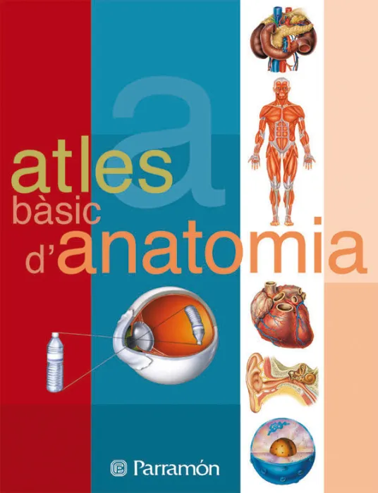 Atles Bàsic D'anatomia