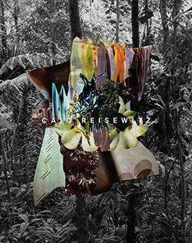 Caio Reisewitz. Disorder